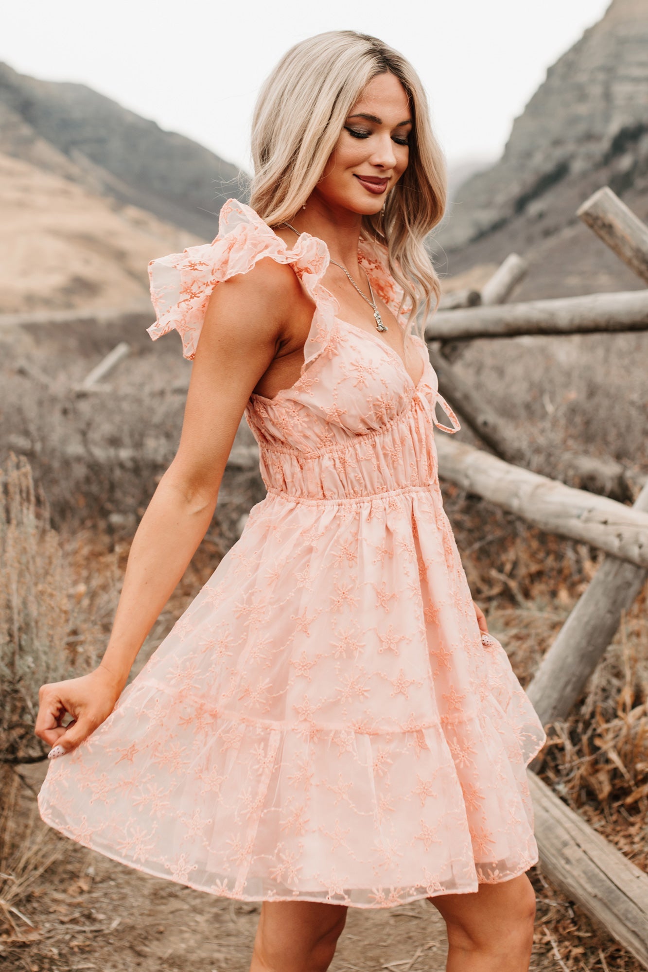 Petals In The Sun Chiffon Embroidered Mini Dress (Coral)